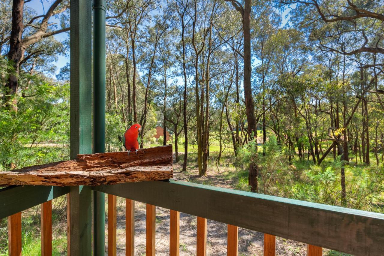 Cockatoo Cottages Exterior foto